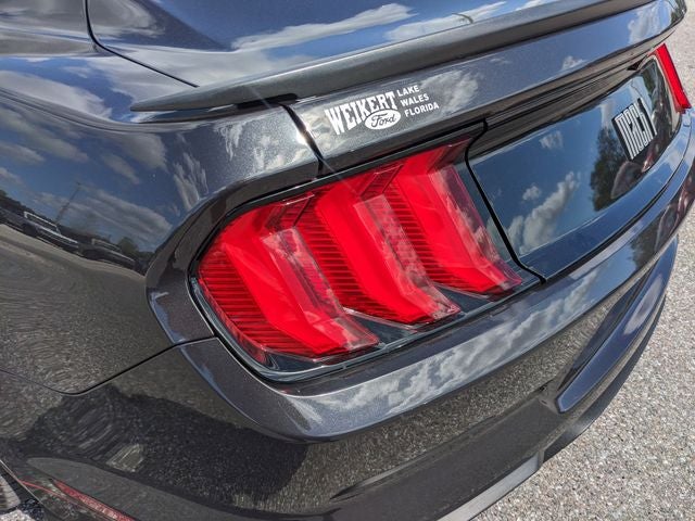 2022 Ford Mustang Mach 1