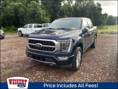 2023 Ford F-150 Platinum