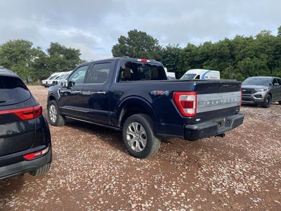 2023 Ford F-150 Platinum
