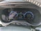 2025 Toyota Sienna XSE 7 Passenger